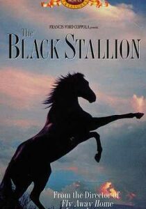 The Black Stallion streaming