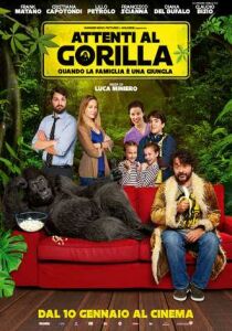 Attenti al gorilla streaming