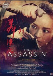 The Assassin streaming