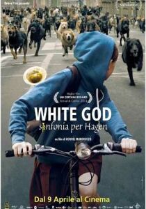 White God – Sinfonia per Hagen streaming
