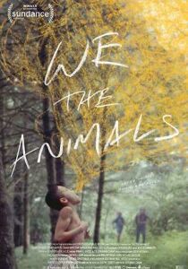 We the Animals [SUB-ITA] streaming