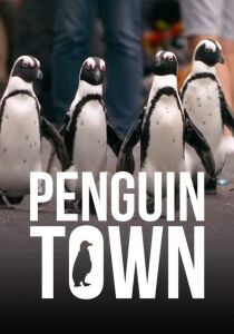Il Villaggio Dei Pinguini streaming