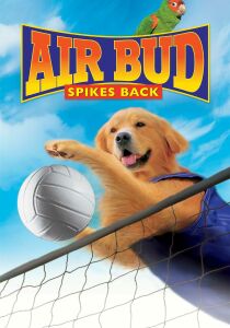 Air Bud 5 - Vince Ancora streaming