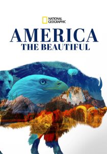 America the Beautiful streaming
