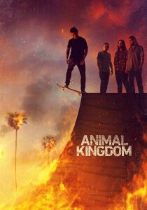 Animal Kingdom streaming
