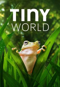 Tiny World streaming