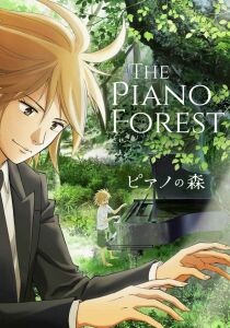 Forest of Piano streaming