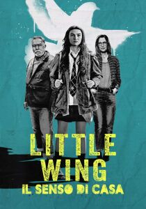 Little Wing - Il senso di casa streaming