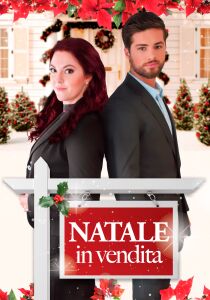 Un Natale in vendita streaming