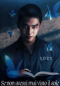 Se non avessi mai visto il sole [Sub-ITA] streaming